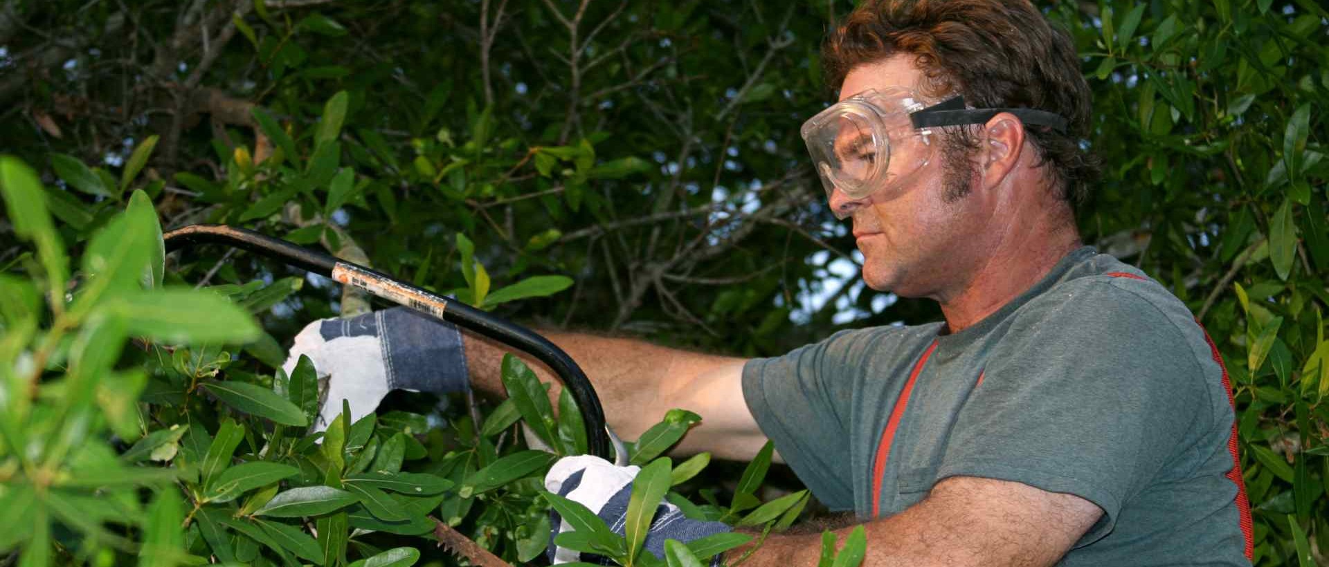 garden clearance DA13