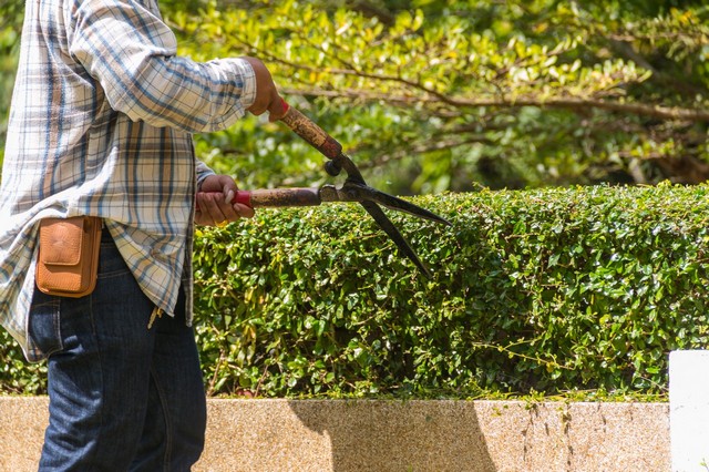 Garden Maintenance Southfleet, Meopham, DA13